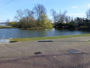 Vijver Eerste Hervendreef2