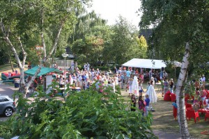 Zomerfeest 2015 vanaf 1e verdieping2