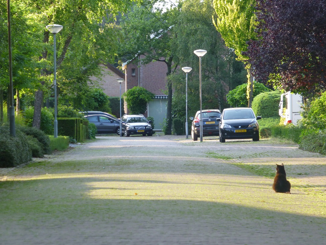 Tijdens de wijkschouw werd ook gekeken naar losliggende klinkers en de trottoirs.